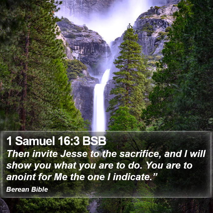 1 Samuel 16:3 BSB Bible Study