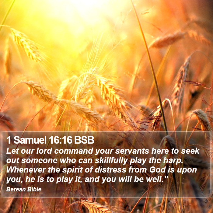 1 Samuel 16:16 BSB Bible Study