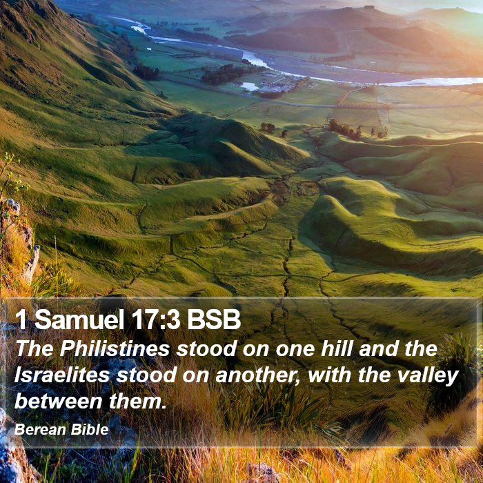 1 Samuel 17:3 BSB Bible Study