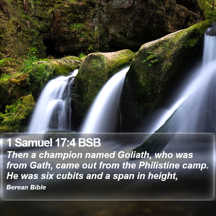 1 Samuel 17:4 BSB Bible Study