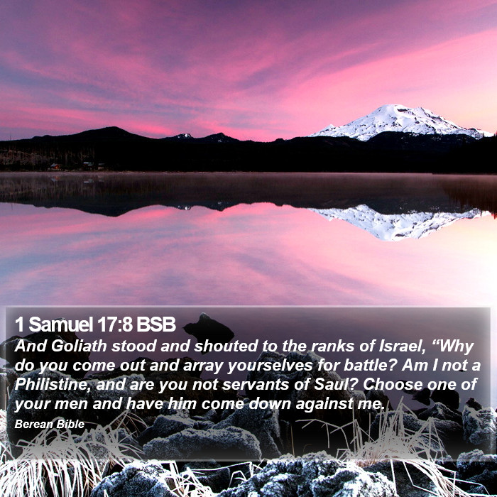 1 Samuel 17:8 BSB Bible Study