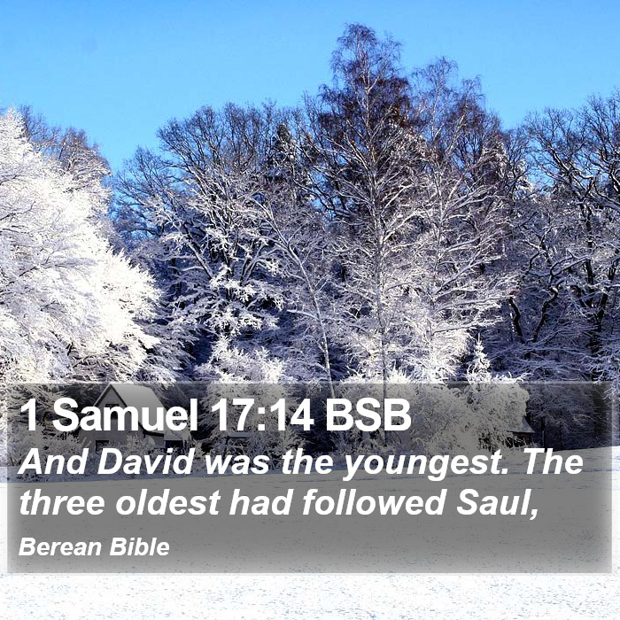 1 Samuel 17:14 BSB Bible Study