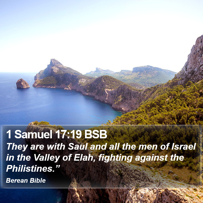 1 Samuel 17:19 BSB Bible Study