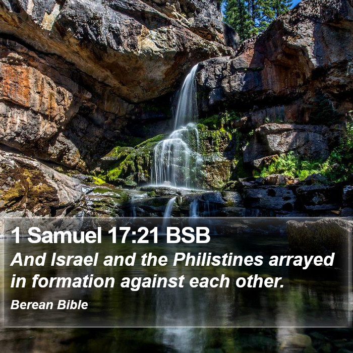 1 Samuel 17:21 BSB Bible Study