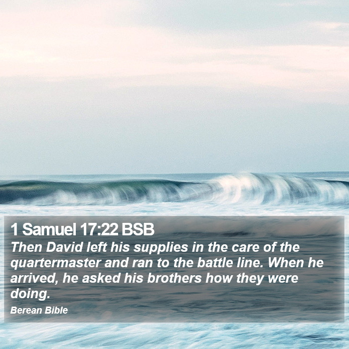 1 Samuel 17:22 BSB Bible Study