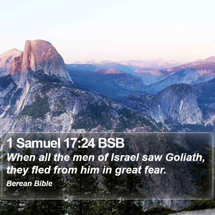 1 Samuel 17:24 BSB Bible Study