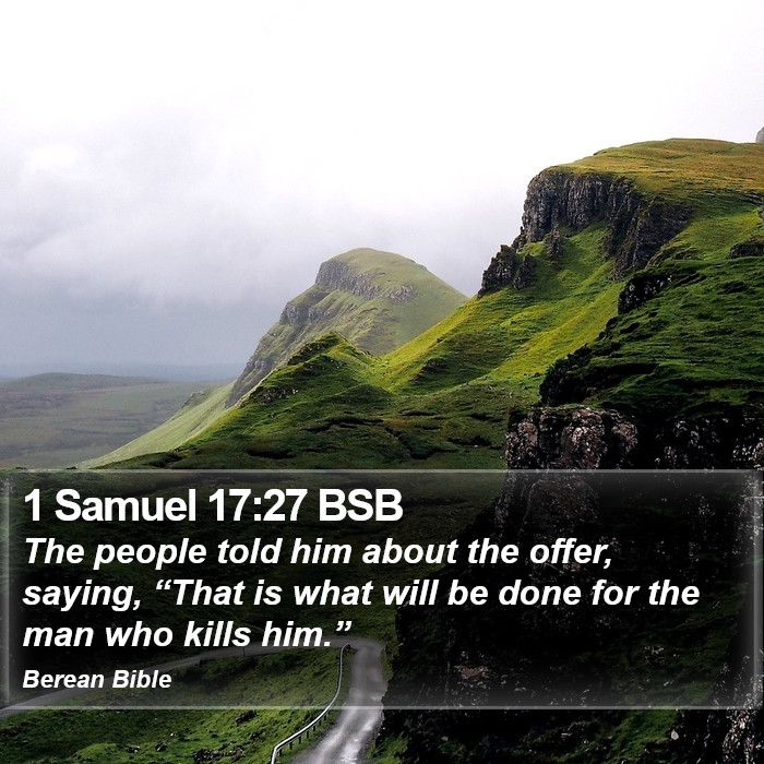 1 Samuel 17:27 BSB Bible Study