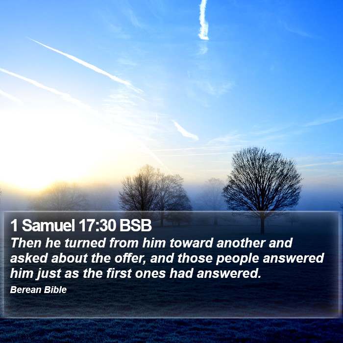 1 Samuel 17:30 BSB Bible Study