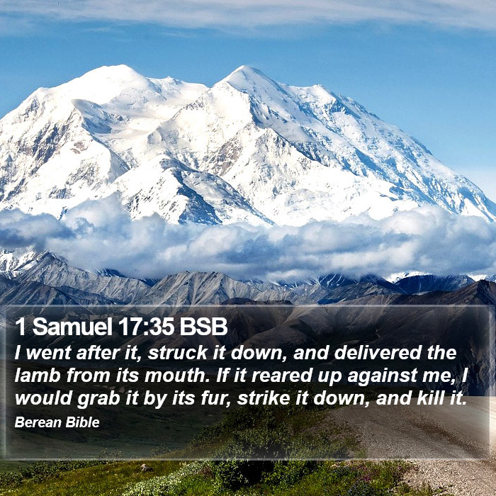 1 Samuel 17:35 BSB Bible Study