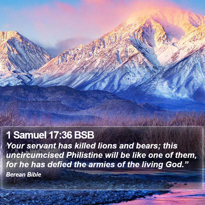 1 Samuel 17:36 BSB Bible Study