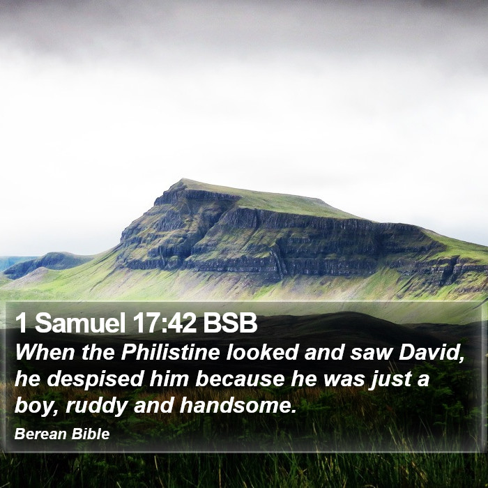 1 Samuel 17:42 BSB Bible Study