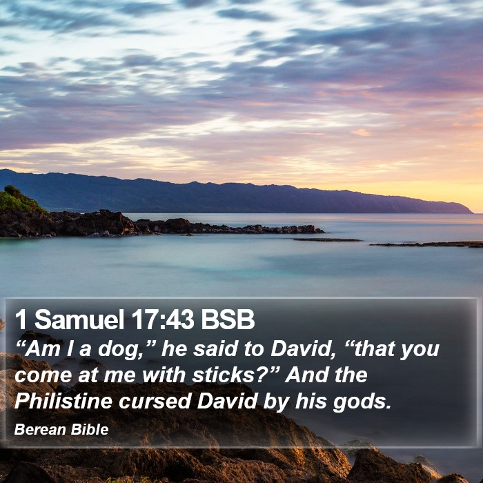 1 Samuel 17:43 BSB Bible Study