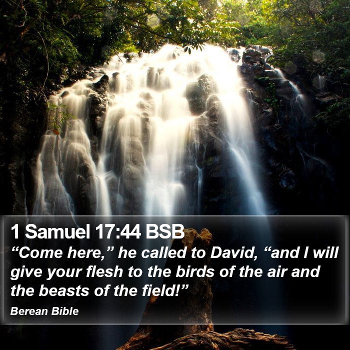 1 Samuel 17:44 BSB Bible Study