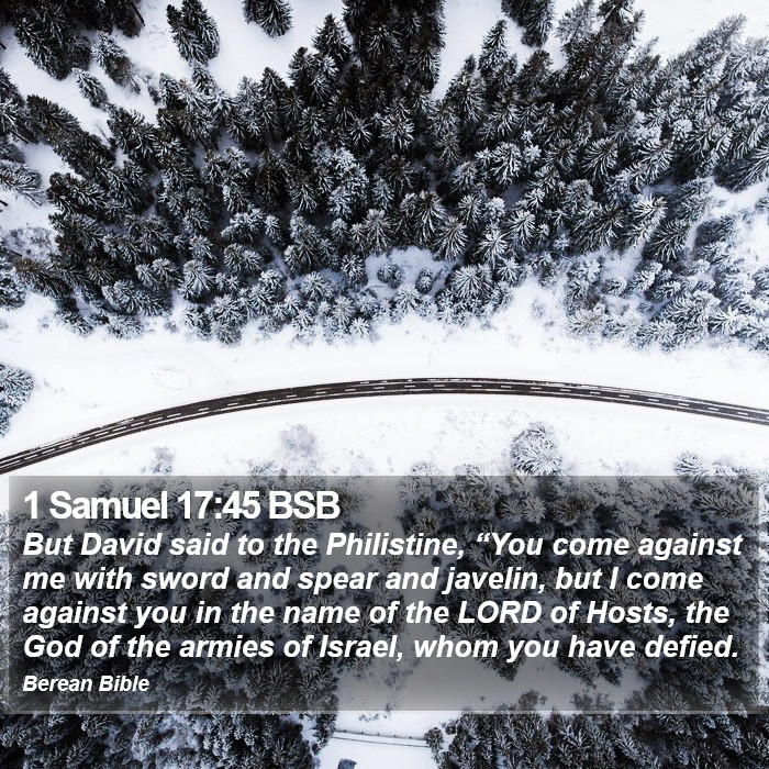 1 Samuel 17:45 BSB Bible Study