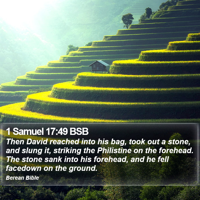 1 Samuel 17:49 BSB Bible Study