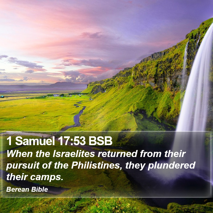 1 Samuel 17:53 BSB Bible Study