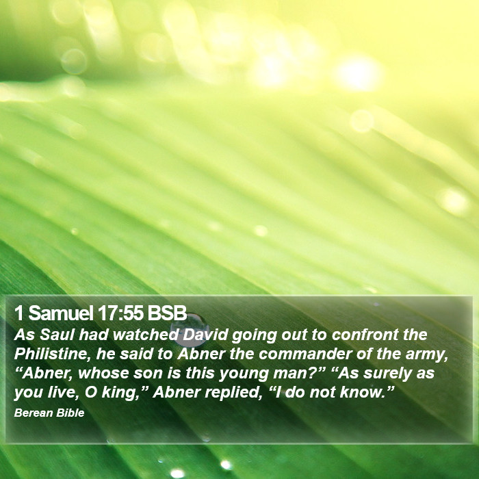 1 Samuel 17:55 BSB Bible Study