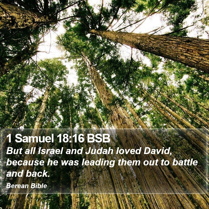 1 Samuel 18:16 BSB Bible Study