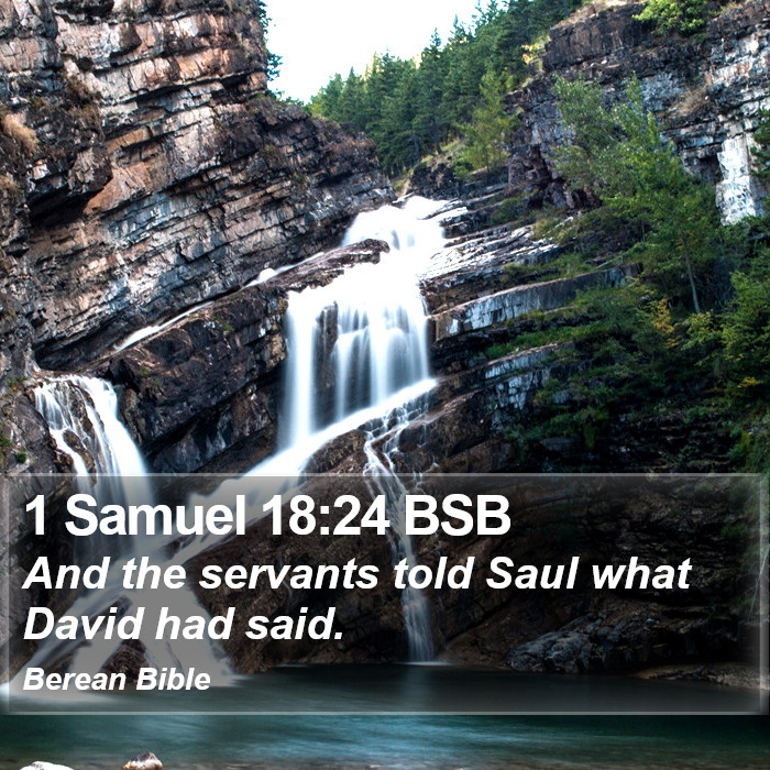 1 Samuel 18:24 BSB Bible Study