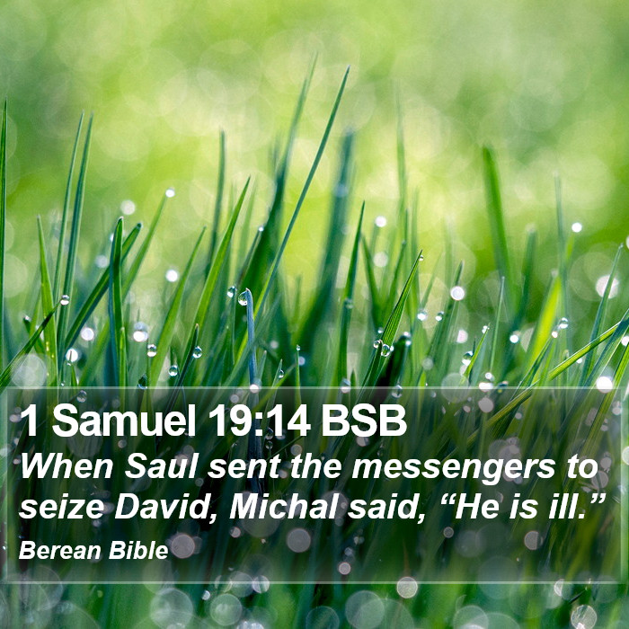 1 Samuel 19:14 BSB Bible Study