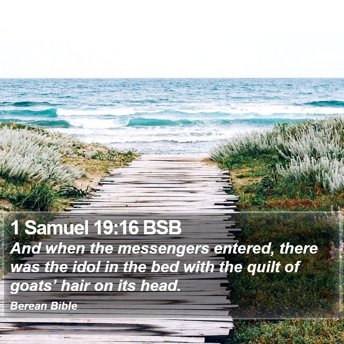 1 Samuel 19:16 BSB Bible Study