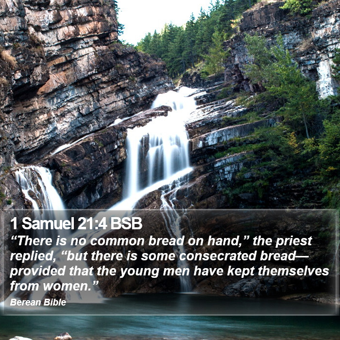 1 Samuel 21:4 BSB Bible Study