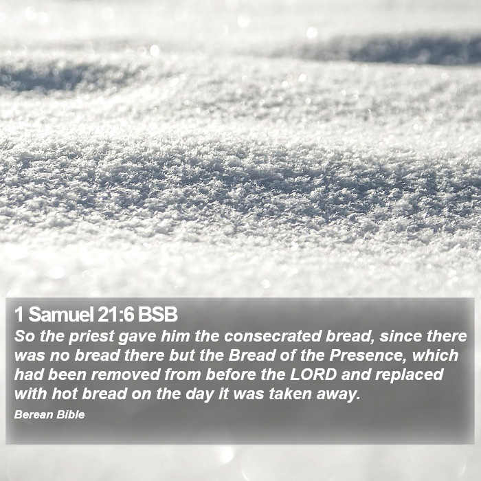 1 Samuel 21:6 BSB Bible Study