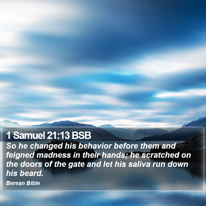 1 Samuel 21:13 BSB Bible Study