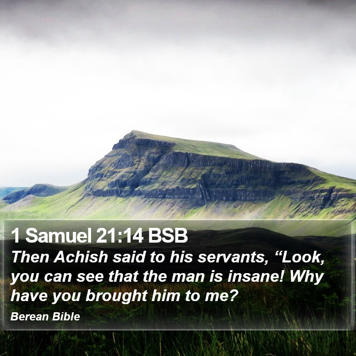 1 Samuel 21:14 BSB Bible Study