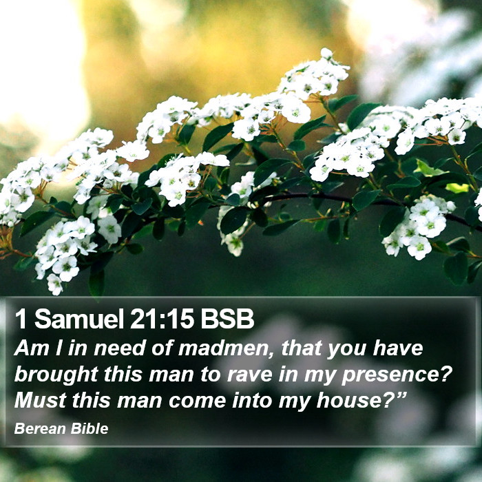 1 Samuel 21:15 BSB Bible Study