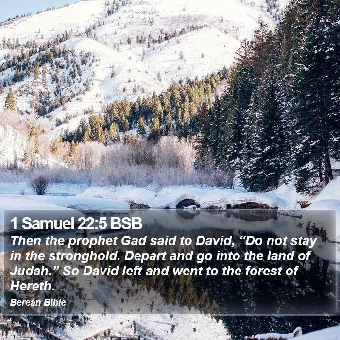 1 Samuel 22:5 BSB Bible Study