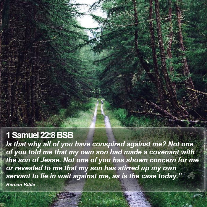 1 Samuel 22:8 BSB Bible Study