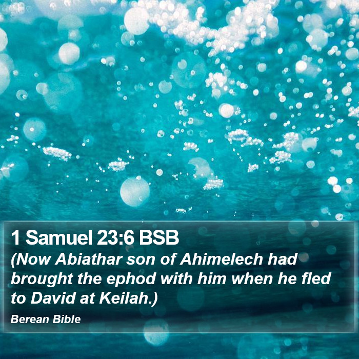 1 Samuel 23:6 BSB Bible Study