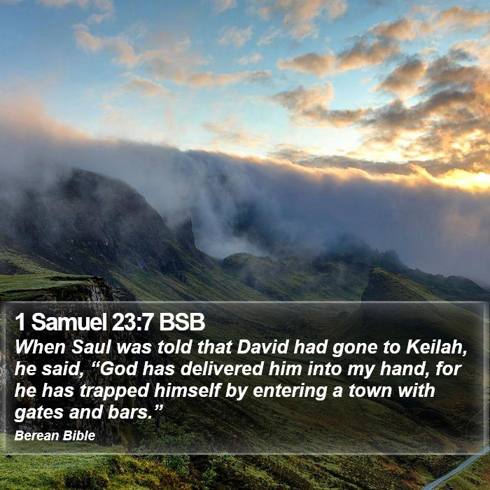 1 Samuel 23:7 BSB Bible Study