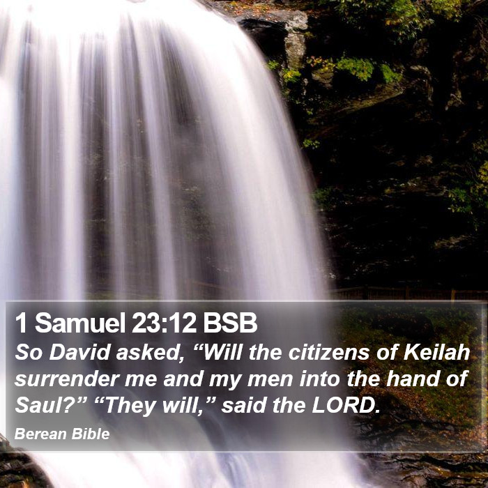 1 Samuel 23:12 BSB Bible Study