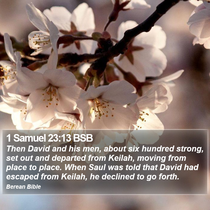 1 Samuel 23:13 BSB Bible Study