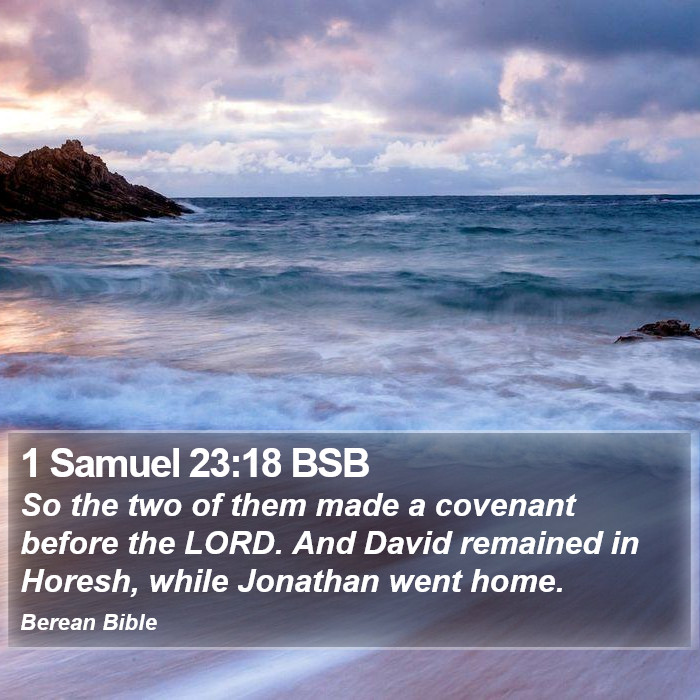 1 Samuel 23:18 BSB Bible Study