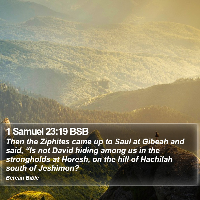 1 Samuel 23:19 BSB Bible Study