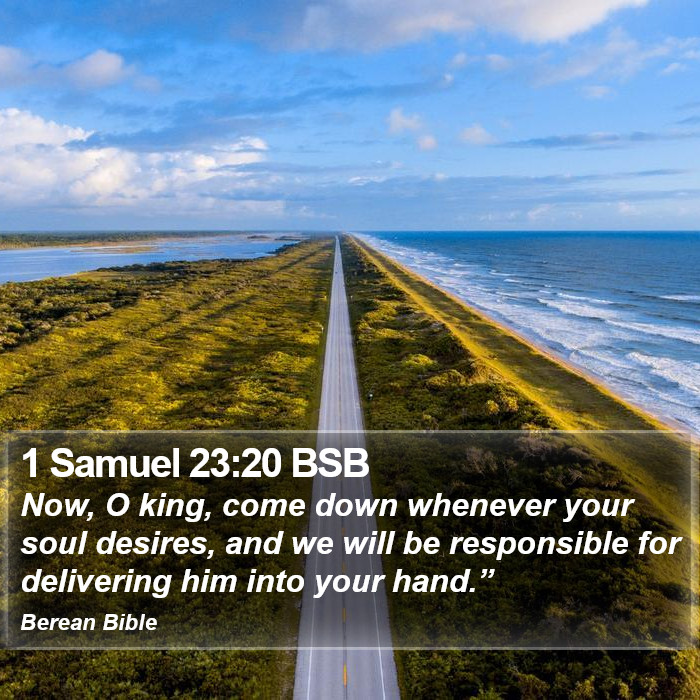 1 Samuel 23:20 BSB Bible Study