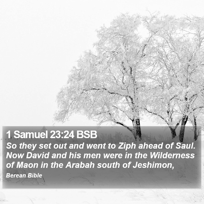 1 Samuel 23:24 BSB Bible Study