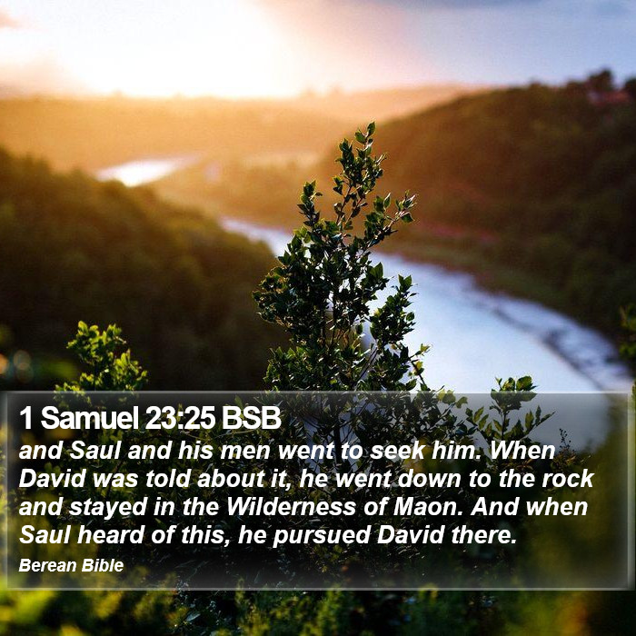 1 Samuel 23:25 BSB Bible Study