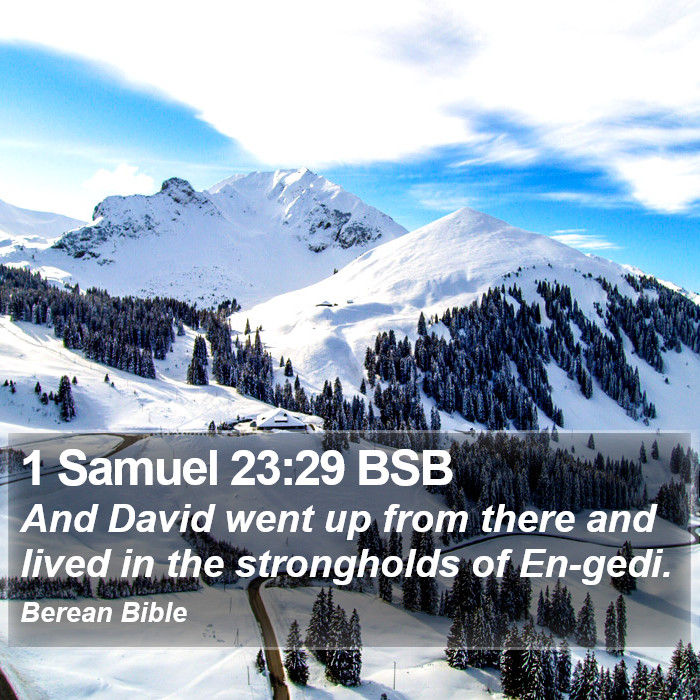 1 Samuel 23:29 BSB Bible Study