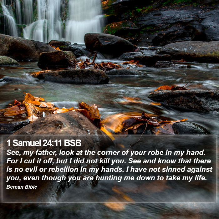 1 Samuel 24:11 BSB Bible Study