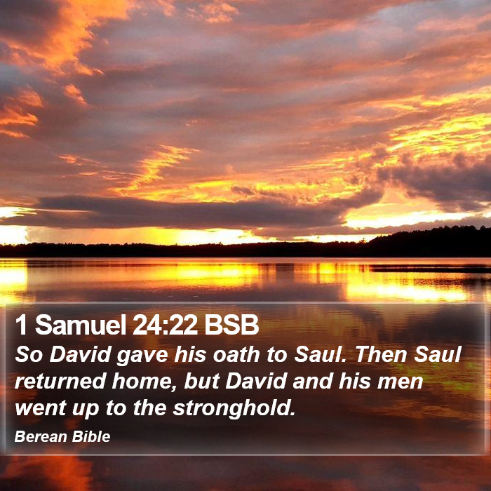 1 Samuel 24:22 BSB Bible Study