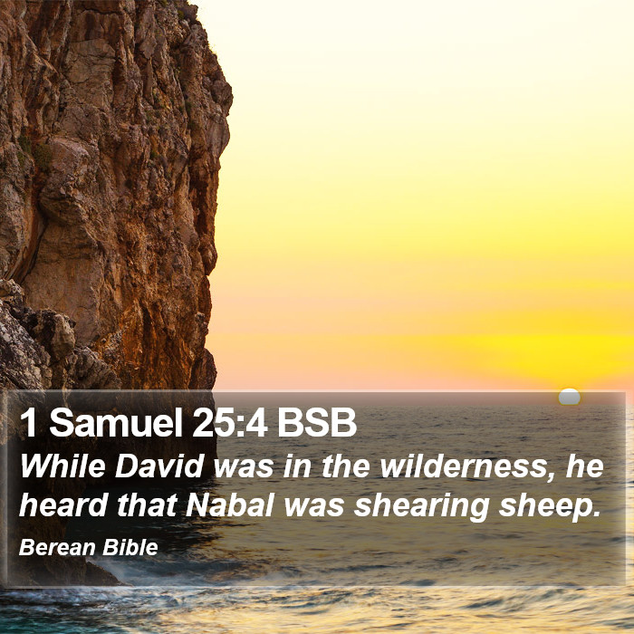 1 Samuel 25:4 BSB Bible Study