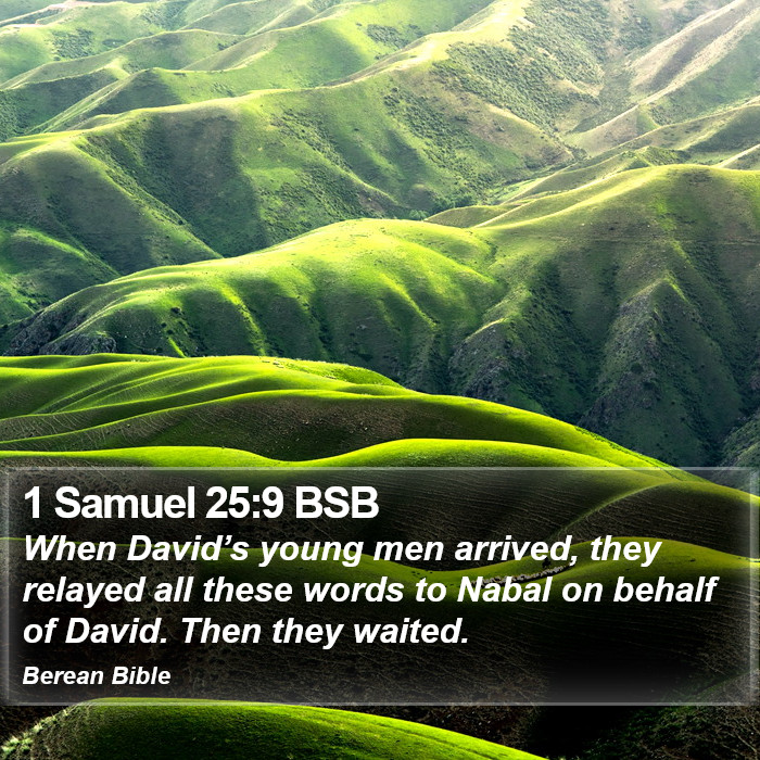 1 Samuel 25:9 BSB Bible Study