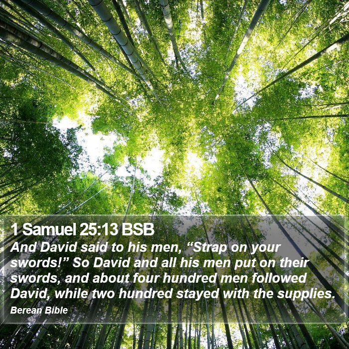 1 Samuel 25:13 BSB Bible Study