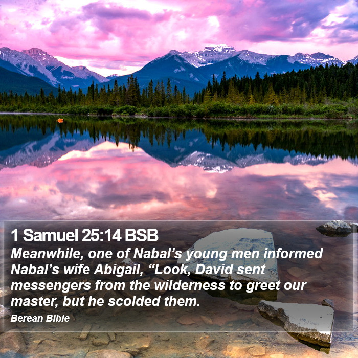 1 Samuel 25:14 BSB Bible Study