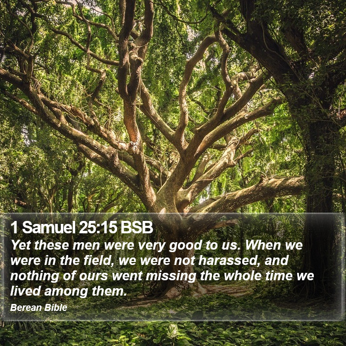 1 Samuel 25:15 BSB Bible Study