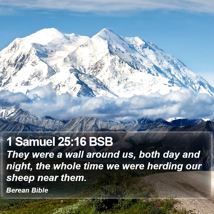 1 Samuel 25:16 BSB Bible Study